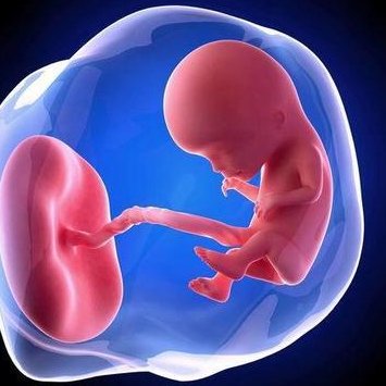 莆田试管婴儿医院排名榜单揭秘，本地热门怀孕机构来看看