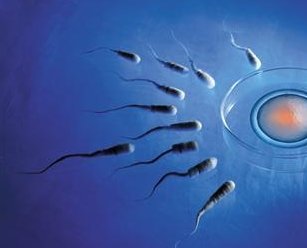 如何让多囊卵巢患者快速怀孕？多囊卵巢患者怀孕初期如何保胎？多囊卵巢患者怀孕后会出血吗？