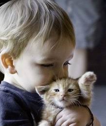 不孕不育的痛（不孕不育的痛点有哪些）